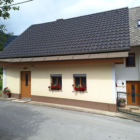 Apartma Pr Martin Begunje na Gorenjskem Zewnętrze zdjęcie