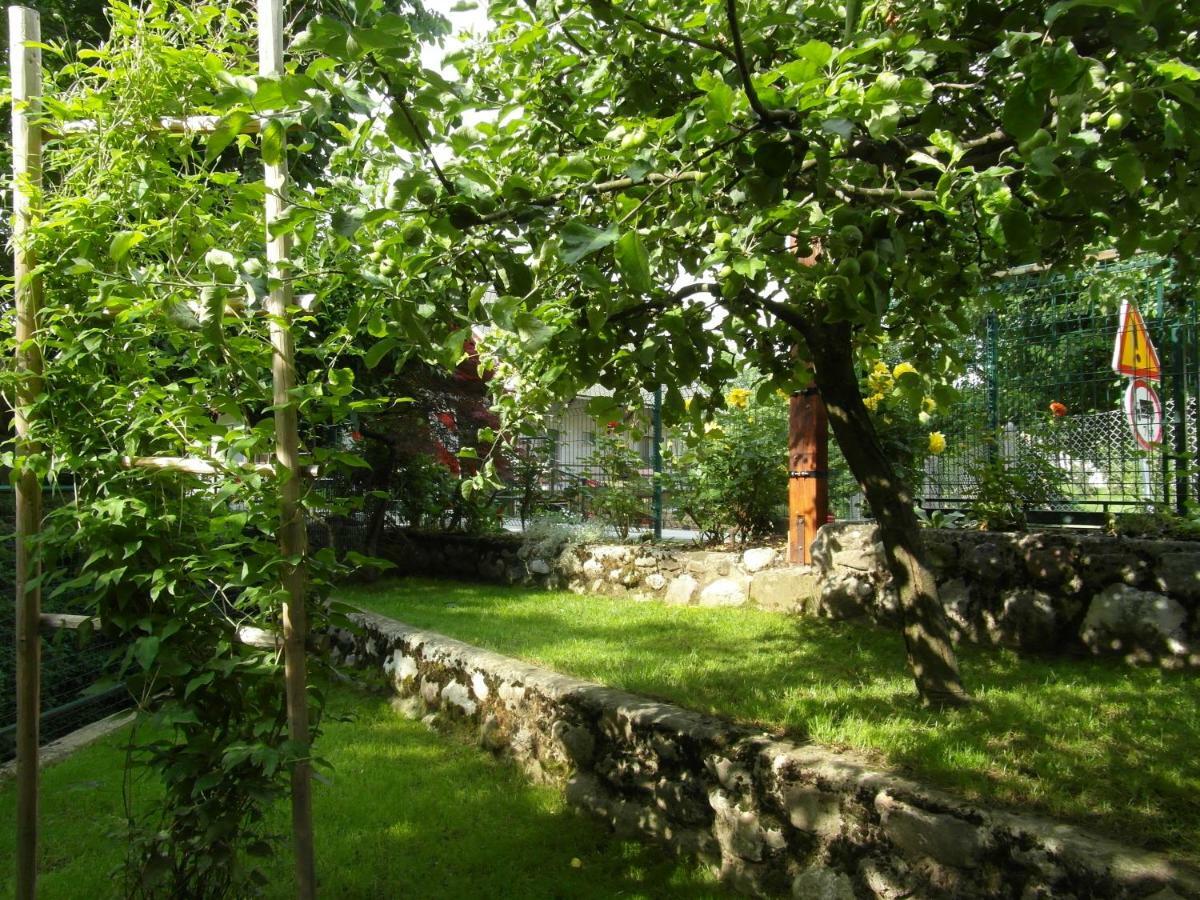 Apartma Pr Martin Begunje na Gorenjskem Zewnętrze zdjęcie