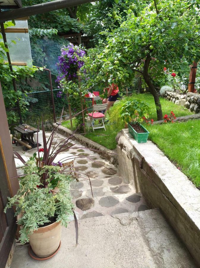Apartma Pr Martin Begunje na Gorenjskem Zewnętrze zdjęcie